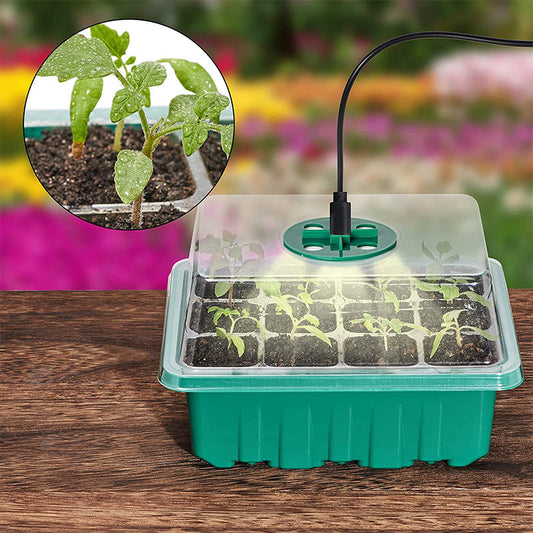 💎60% OFF! 💎 Germination Trays with Grow Light – Humidity Control, Transparent & Full-Spectrum Light 🌱💡