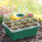 💎60% OFF! 💎 Germination Trays with Grow Light – Humidity Control, Transparent & Full-Spectrum Light 🌱💡