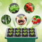 💎60% OFF! 💎 Germination Trays with Grow Light – Humidity Control, Transparent & Full-Spectrum Light 🌱💡