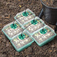 💎60% OFF! 💎 Germination Trays with Grow Light – Humidity Control, Transparent & Full-Spectrum Light 🌱💡