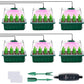 💎60% OFF! 💎 Germination Trays with Grow Light – Humidity Control, Transparent & Full-Spectrum Light 🌱💡