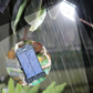 🔈🔈60% OFF NOW🔥Installation-free Solar Clip-Lamp