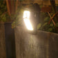 🔈🔈60% OFF NOW🔥Installation-free Solar Clip-Lamp