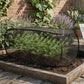 🌱60% OFF NOW! ✨ Foldable Pop-Up Plant Mesh Cover – Protects Plants, Breathable Design & Easy Setup 🌿