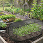 🌱60% OFF NOW! ✨ Foldable Pop-Up Plant Mesh Cover – Protects Plants, Breathable Design & Easy Setup 🌿