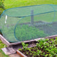 🌱60% OFF NOW! ✨ Foldable Pop-Up Plant Mesh Cover – Protects Plants, Breathable Design & Easy Setup 🌿