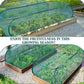 🌱60% OFF NOW! ✨ Foldable Pop-Up Plant Mesh Cover – Protects Plants, Breathable Design & Easy Setup 🌿