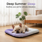 ❄️Cooling Gel Mat for Pets – No refrigeration needed, instant heat relief. Breathable, non‑toxic. Helps pets sleep cool all summer!