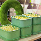 🌱 Stackable Bean Sprout Grower Box with Lid — Soilless Seed Sprouter Tray for Healthy Homegrown Sprouts