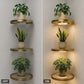 🏠 50% OFF NOW! 💡 Floating Wall Shelf with Built-in Ambient LED Lighting – Modern Plant Display – Perfect for Indoor Gardens & Apartments ✨